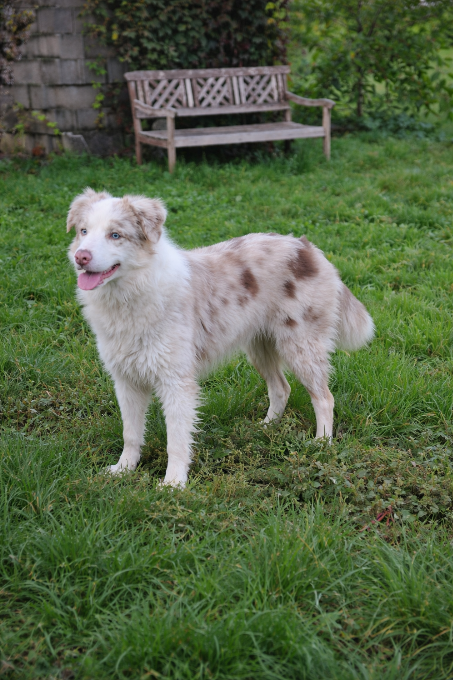 X'ika vibes and chill from izzy's footsteps